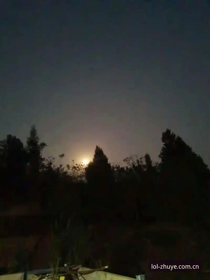 昨天夜里十一点多，雪儿发来一条语音，声音里带着点兴奋：“我用你上次说的那个方法试了，手机端打开LOL押注正规平台官网CN，前后不到五分钟就把客户端装好了，今晚盯了两场数据，丝滑得很。”她是上个月才接触赛事数据追踪的新手，之前总抱怨手机和电脑上的数据对不上号，赔率更新也慢。我回她：“版本你更新到v2.1.0没？老版本确实有点卡顿，新版本专门优化了移动端的中间层传输。”她说已经升完了，就是升级后才明显感觉到差别。